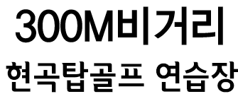 탑골프